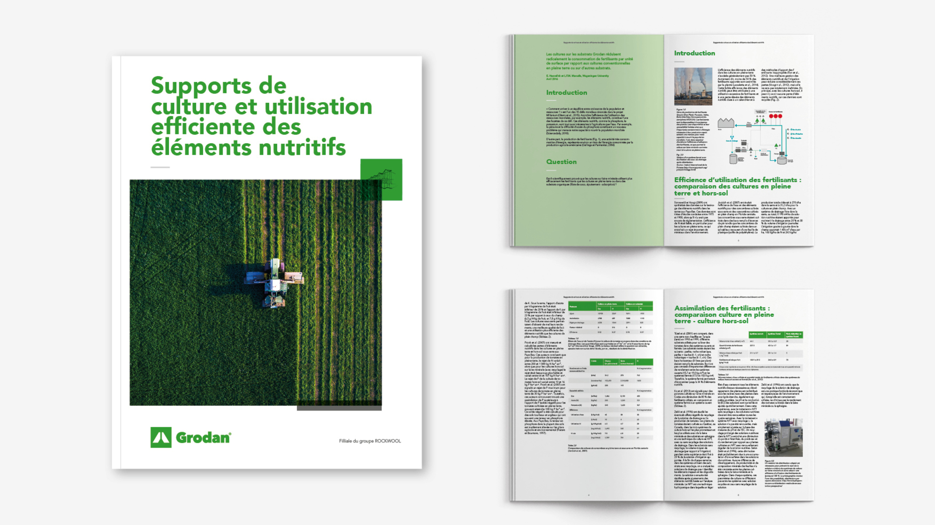 20200313 GR ILL 5056