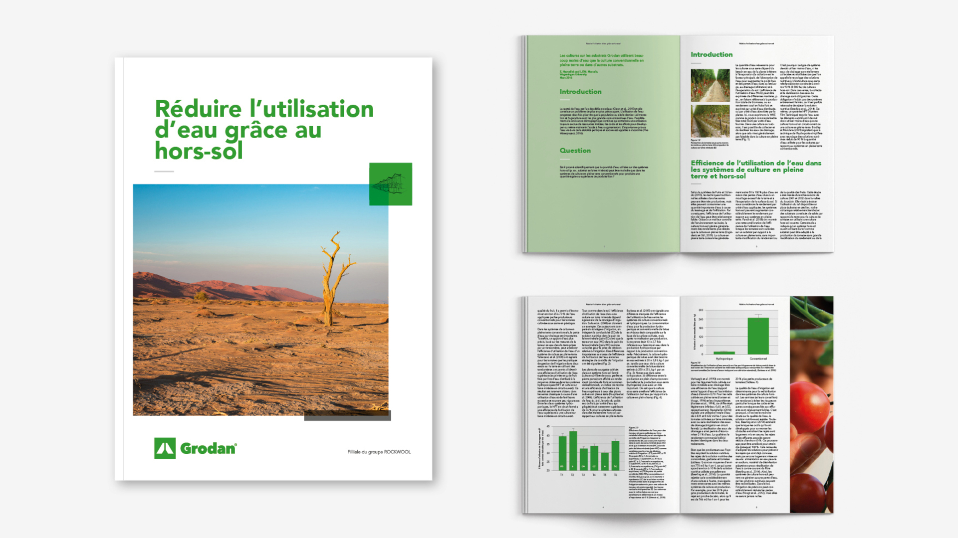 20200313 GR ILL 5058