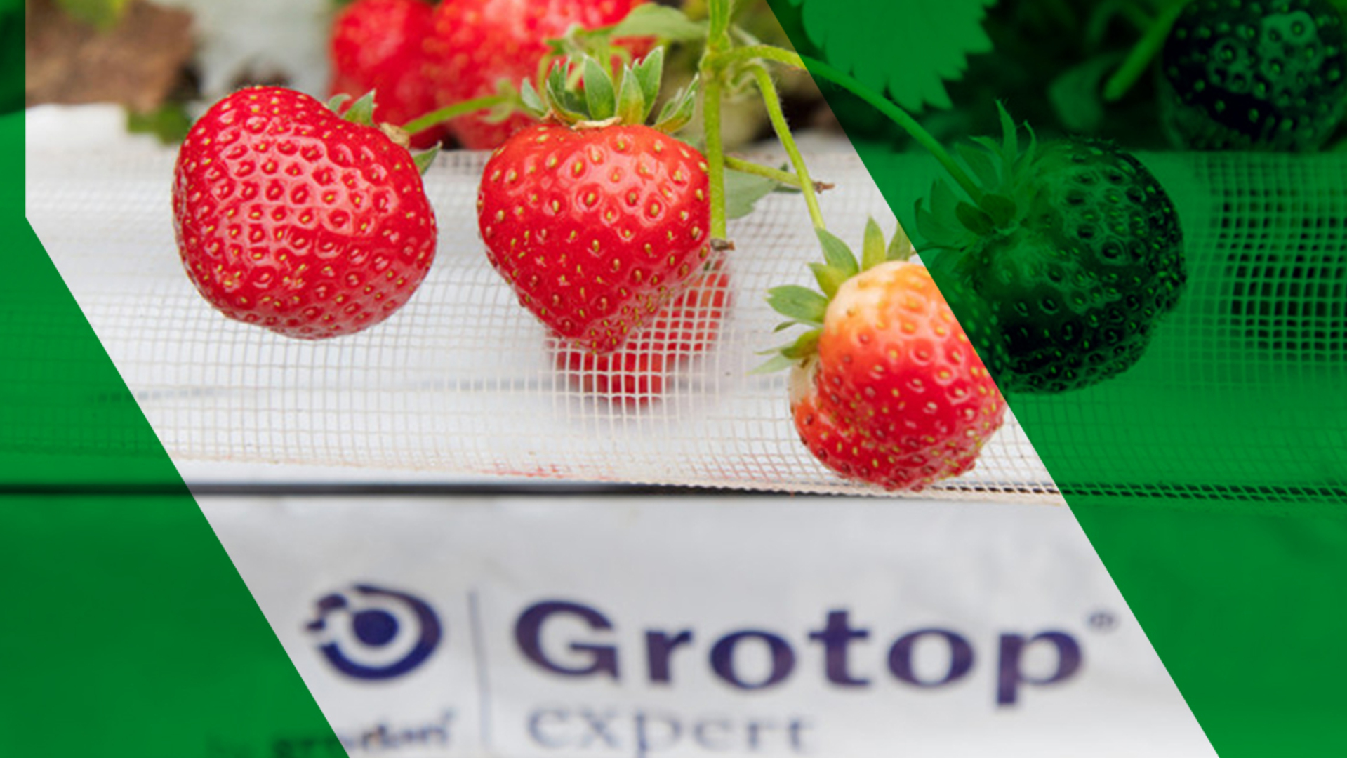 20200922 GR ILL 5083